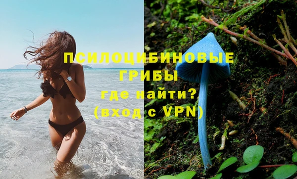 бутират Новозыбков