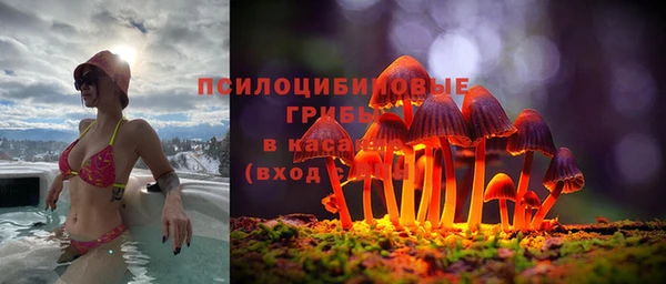 марки nbome Новодвинск