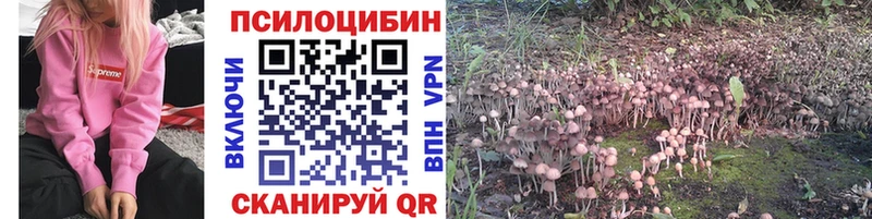 Галлюциногенные грибы Psilocybe Шагонар